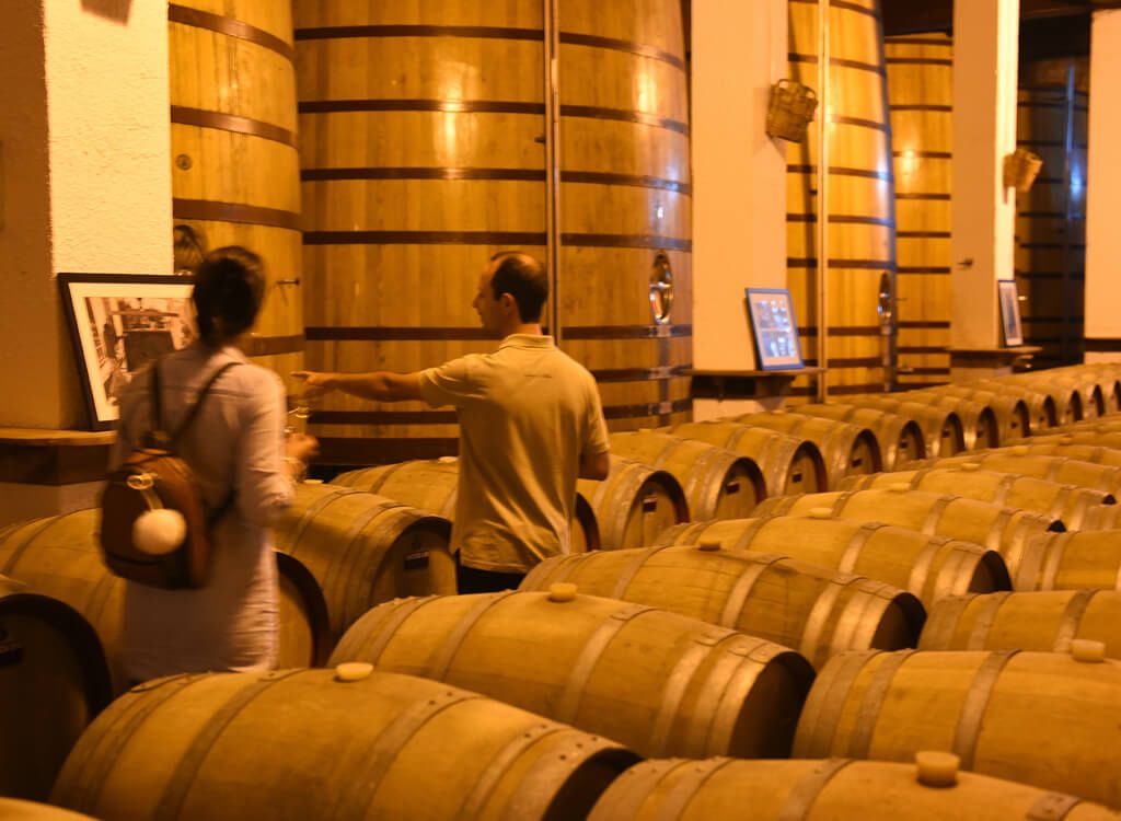 VISIT WITH TASTINGS TO FAVAIOS CELLAR